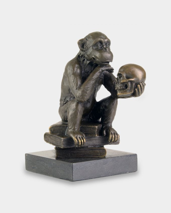 Filozofująca Małpa Darwina z Czaszką Rzeźba z Brązu
