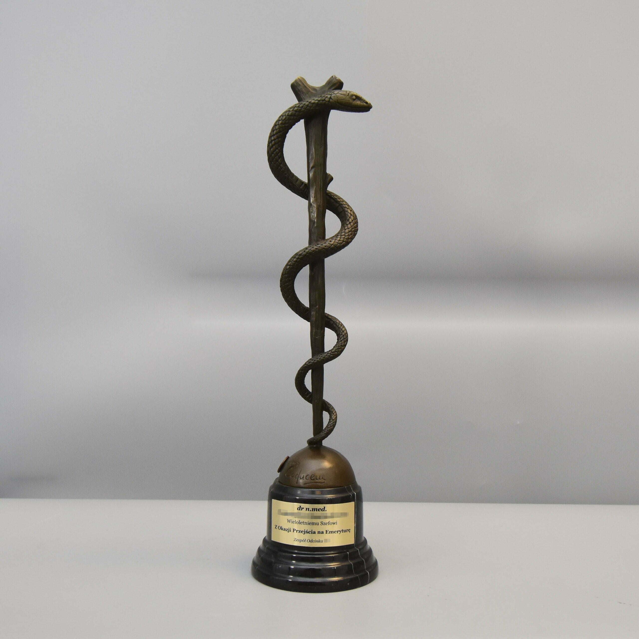 Rzeźba z Brązu Laska Eskulapa Prezent dla Doktora z Okazji Przejścia na Emeryturę Upominek dla Szefa